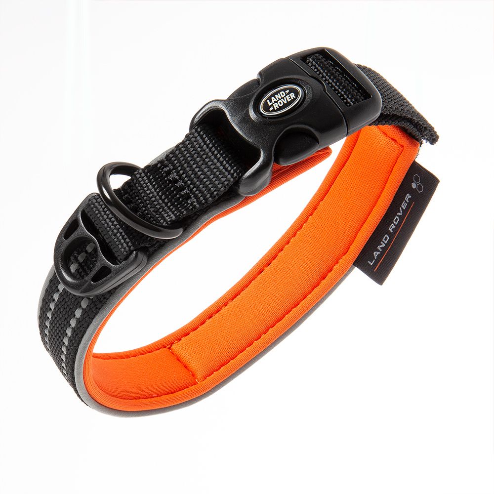 cat Collar