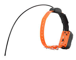 Trackers GPS Cat