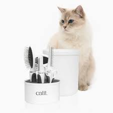 Grooming cat