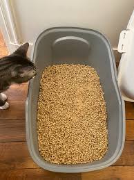 litter
