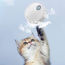 Cat Purifier