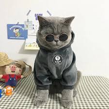 Cat Clothes