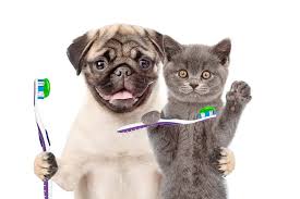 Care and Hygiene Products