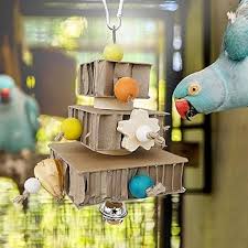 Foraging toys